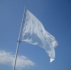 Meet your Posher, Petronella